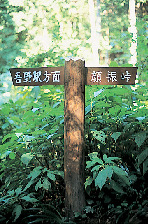 【埼玉・黒山三滝×ハイキング➀】歴史をたどる自然歩道「関東ふれあいの道 」