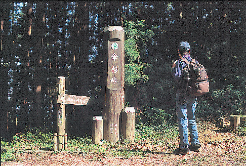 【埼玉・黒山三滝×ハイキング➃】黒山三滝への分岐「傘杉峠」