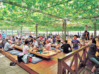 小松沢レジャー農園