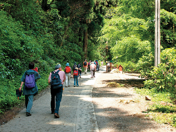 はじめてコース 1号路〜3号路