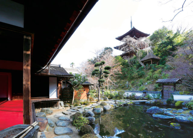 ボタンと中将姫の曼荼羅 當麻寺