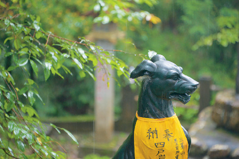 【奥秩父×三峯神社】家々を守る狼の社「御仮屋 (おかりや)」