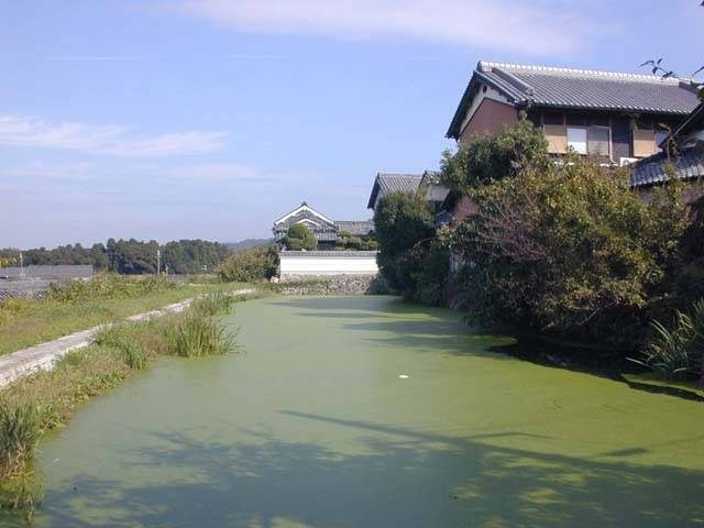 【山の辺の道×観光】村を守る知恵のなごり「竹之内環濠集落」