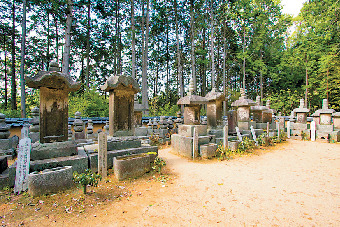 高台に建つ柳生藩主の菩提寺 芳徳寺