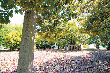 律令国家「日本国」誕生の地 藤原宮跡