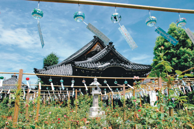 美しい花と音色に癒される おふさ観音