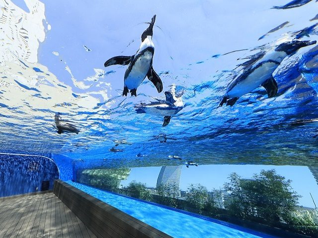 2.サンシャイン水族館(東京都)