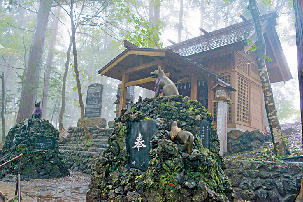 【奥秩父×三峯神社】家々を守る狼の社「御仮屋 (おかりや)」