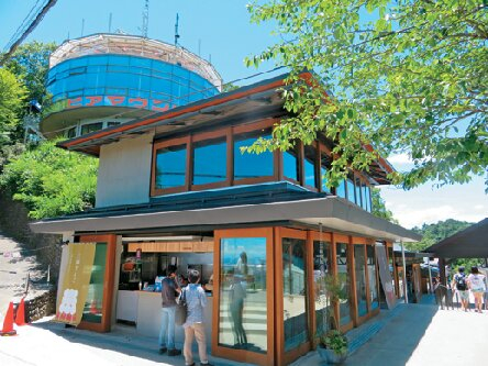 【高尾山の人気とろろそば】打ち立てにこだわった 絶品二八蕎麦「高尾山スミカ」