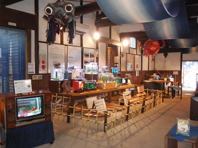 伝統工芸・藍染め体験ができる「箱本館「紺屋」」