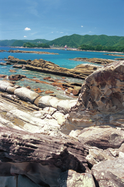 【高知観光おすすめモデルコース②】2日目:13:00 竜串海域公園