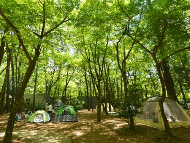 【おすすめはここ!】清水公園(千葉県)