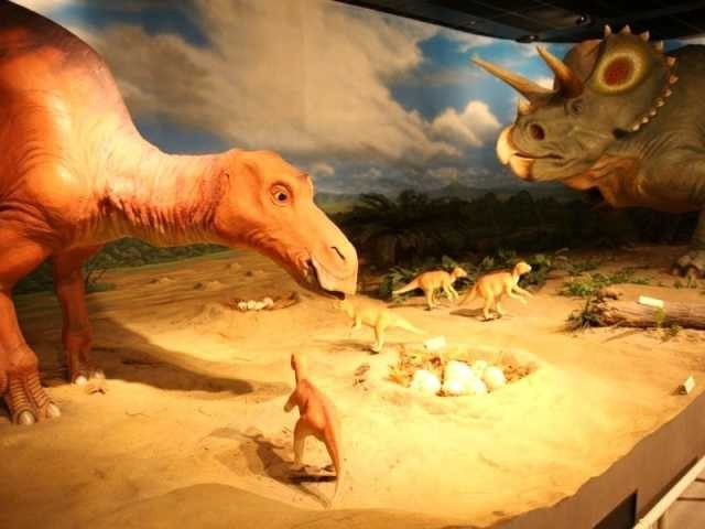 【雨の日おすすめおでかけスポット】新潟県立自然科学館(新潟県)