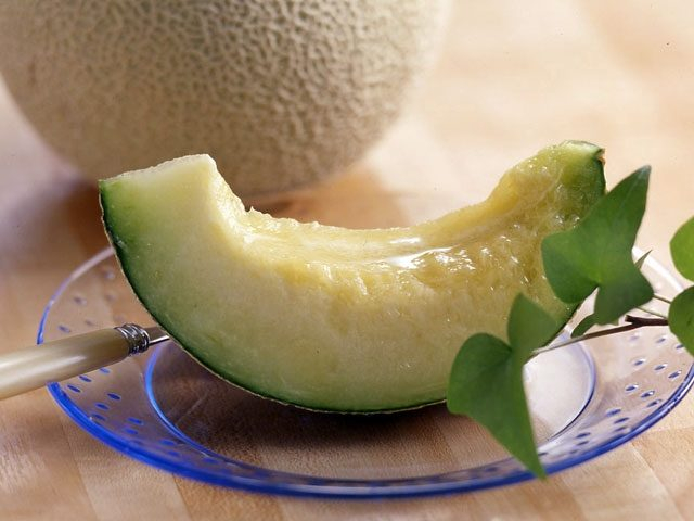 ニュー渥美観光(愛知県)