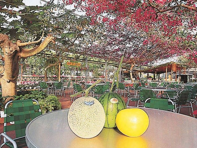 西島園芸団地(高知県)