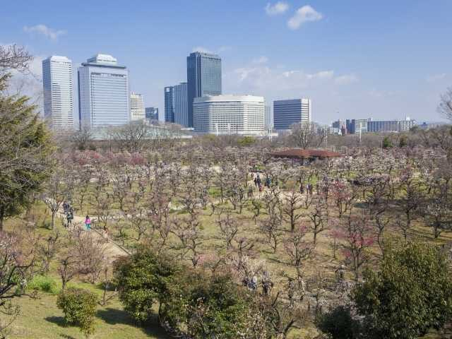 大阪城公園