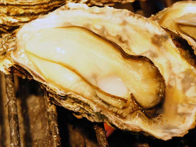 焼がきのはやし