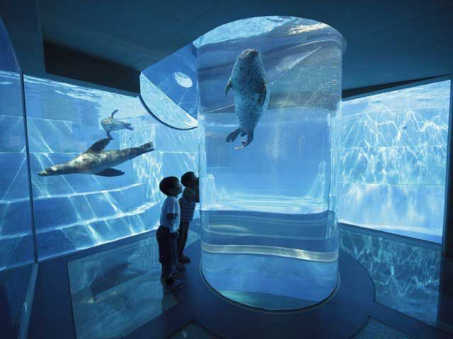 マリンワールド海の中道