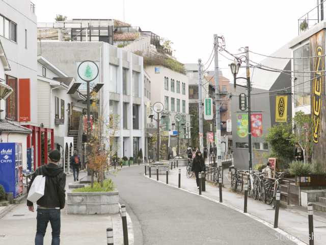 キャットストリート