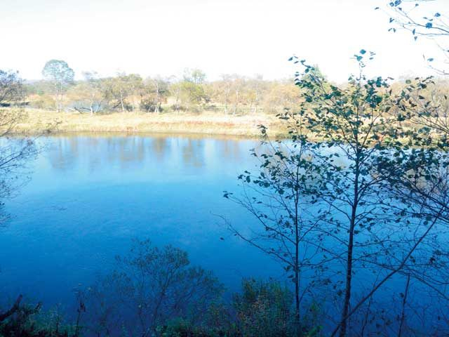 くしろ湿原ノロッコ号(1~4号)