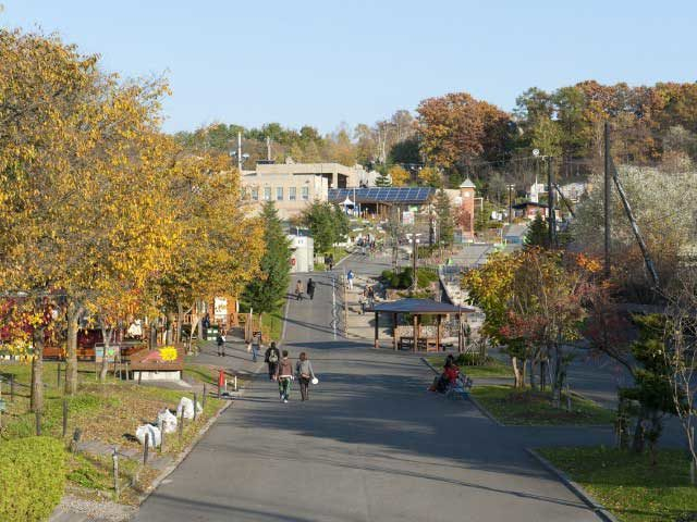 旭川市旭山動物園