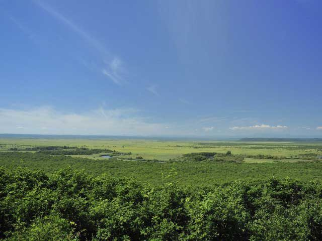釧路湿原