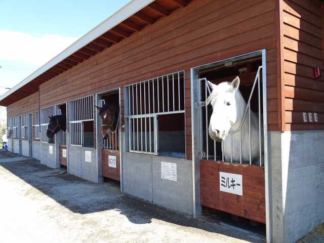ばんえい十勝(帯広競馬場)