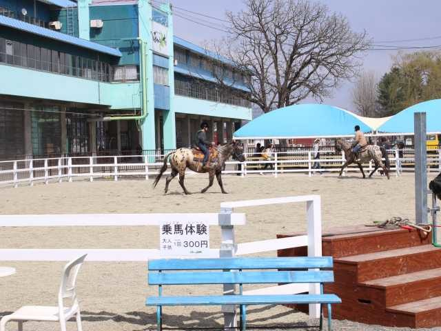 ばんえい十勝(帯広競馬場)