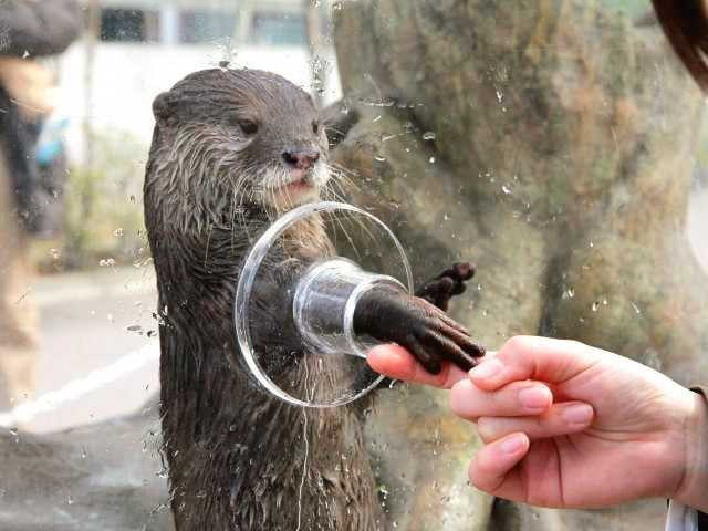 横浜・八景島シーパラダイス