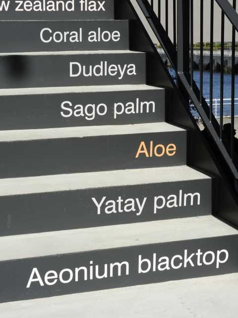 MARINE & WALK YOKOHAMA