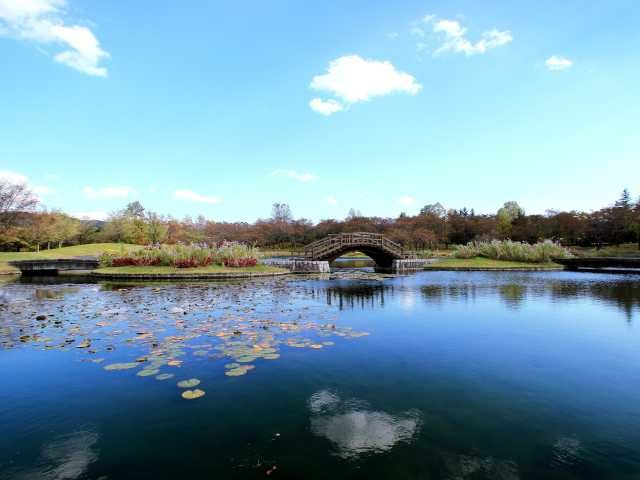 国営みちのく杜の湖畔公園
