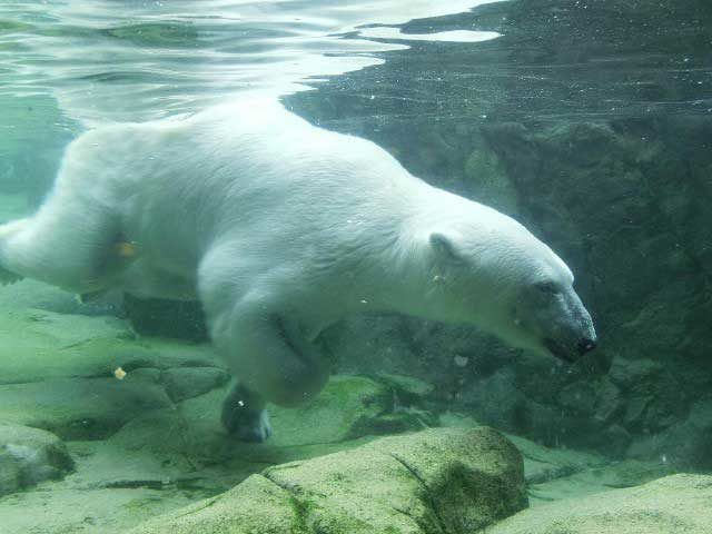八木山動物公園 フジサキの杜