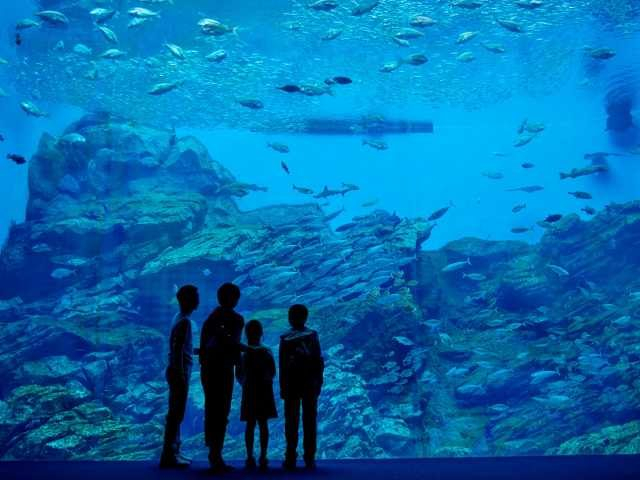 仙台うみの杜水族館