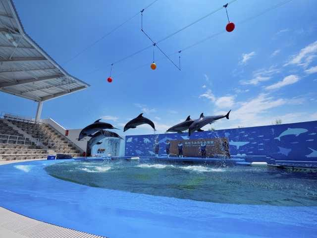 仙台うみの杜水族館
