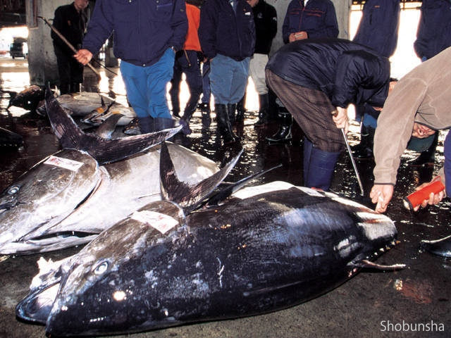 塩釜水産物仲卸市場