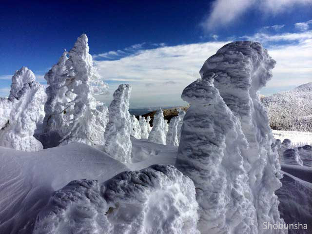 蔵王の樹氷