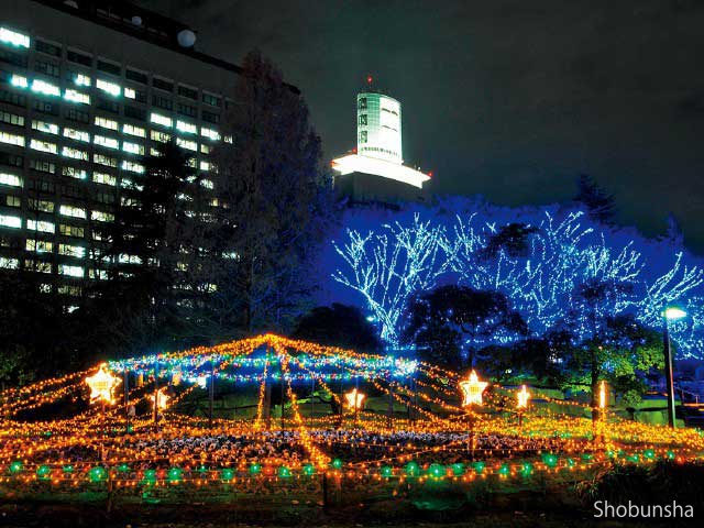 SENDAI光のページェント
