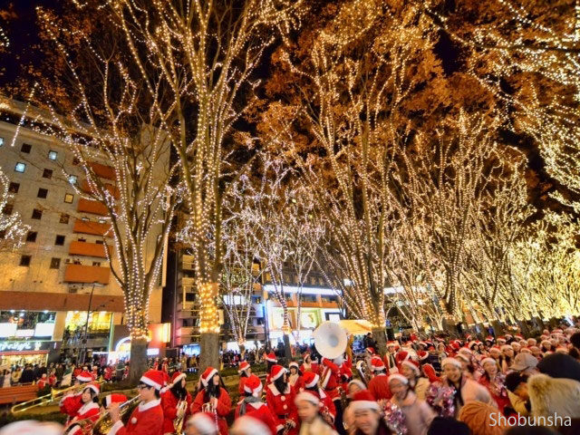 SENDAI光のページェント