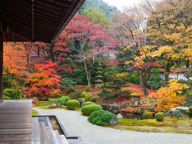 総本山 御寺 泉涌寺