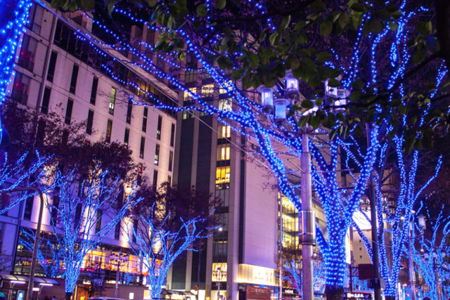 SNS映えする、印象的な写真が撮りたい