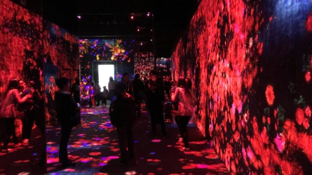 「森ビル デジタル アート ミュージアム:エプソン チームラボボーダレス」へ