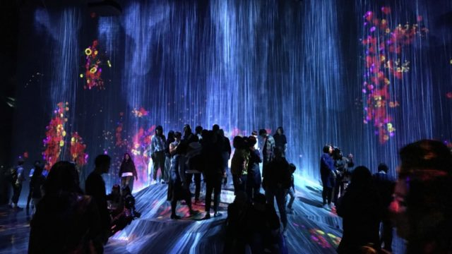 「森ビル デジタル アート ミュージアム:エプソン チームラボボーダレス」へ