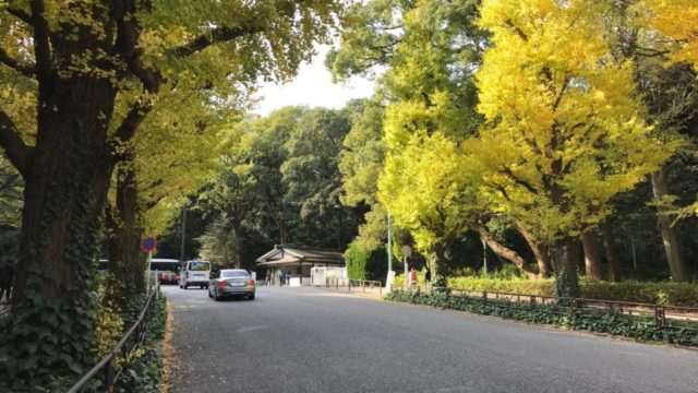 09:45 明治神宮内苑を散策