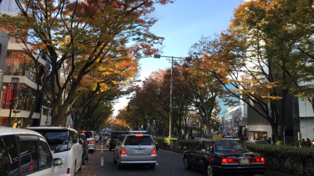 近現代建築博物館としての青山みゆき通りと表参道