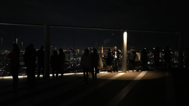 東京の夜景は光のじゅうたん