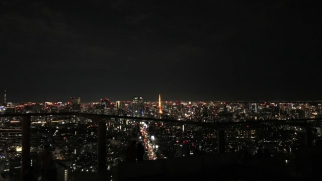 東京の夜景は光のじゅうたん