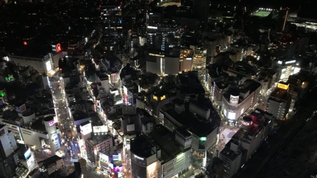 東京の夜景は光のじゅうたん