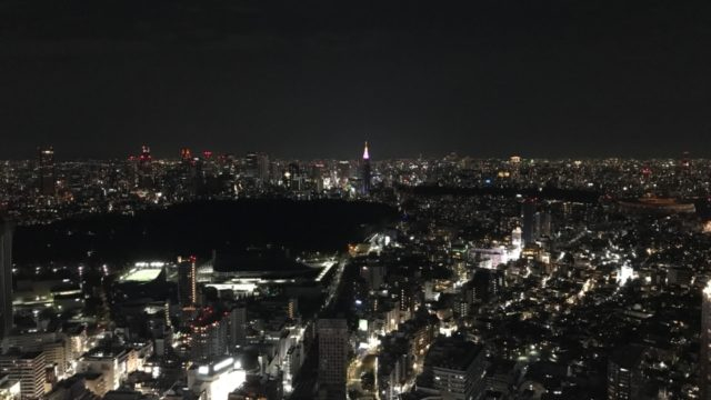 東京の夜景は光のじゅうたん