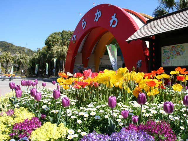 鹿児島市平川動物公園