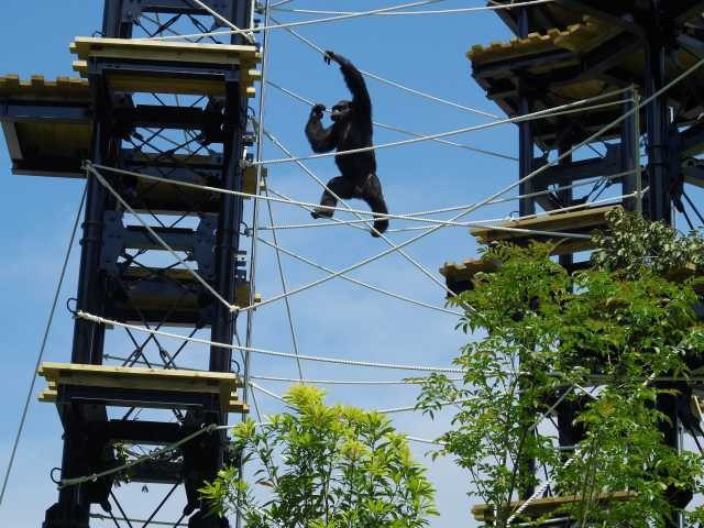 鹿児島市平川動物公園